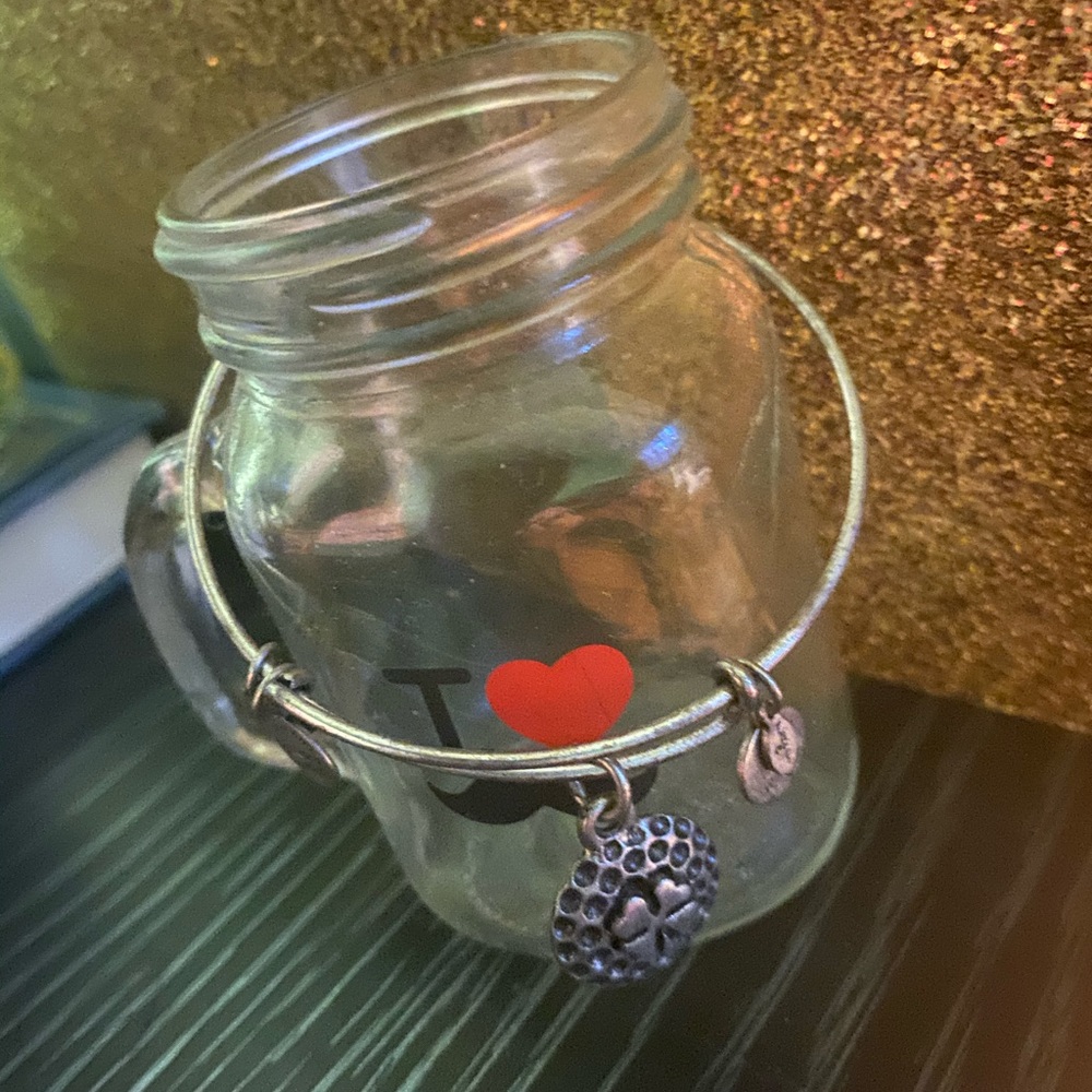 ALEX & ANI SILVER LUCKY IRISH CHARM Bracelet RARE